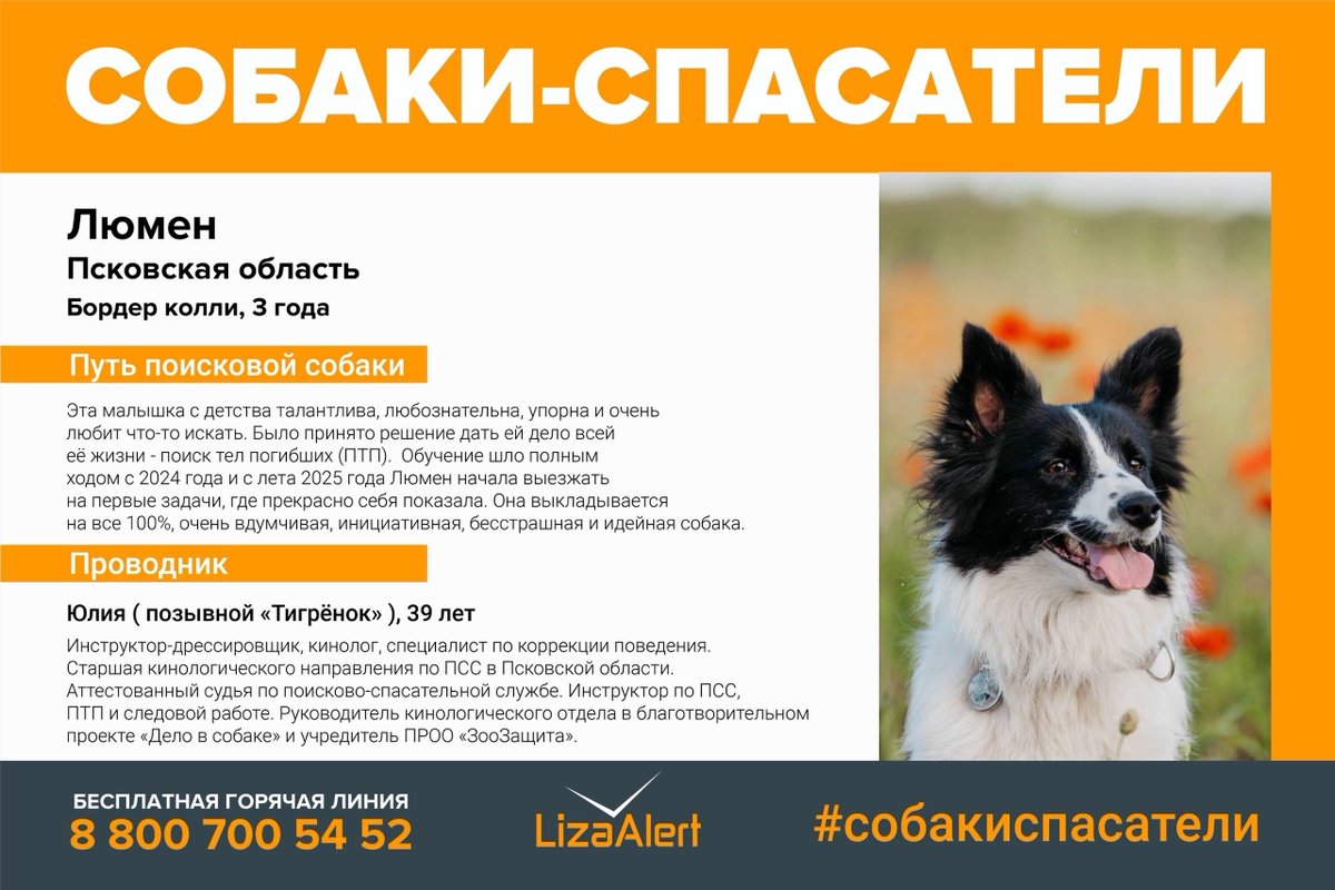 Лентач tweet media