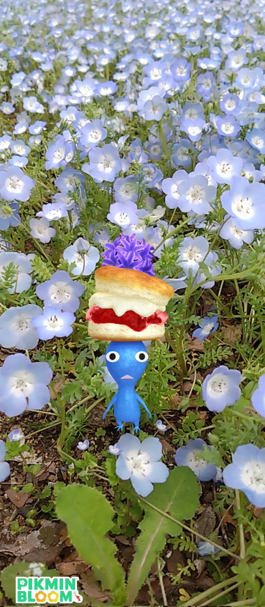 Golden Piony 🌱🐉🪄 tweet media