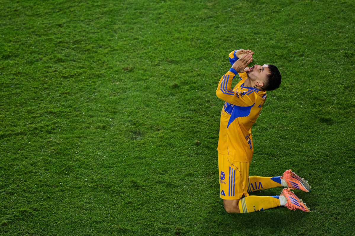 Danoo RG tweet media