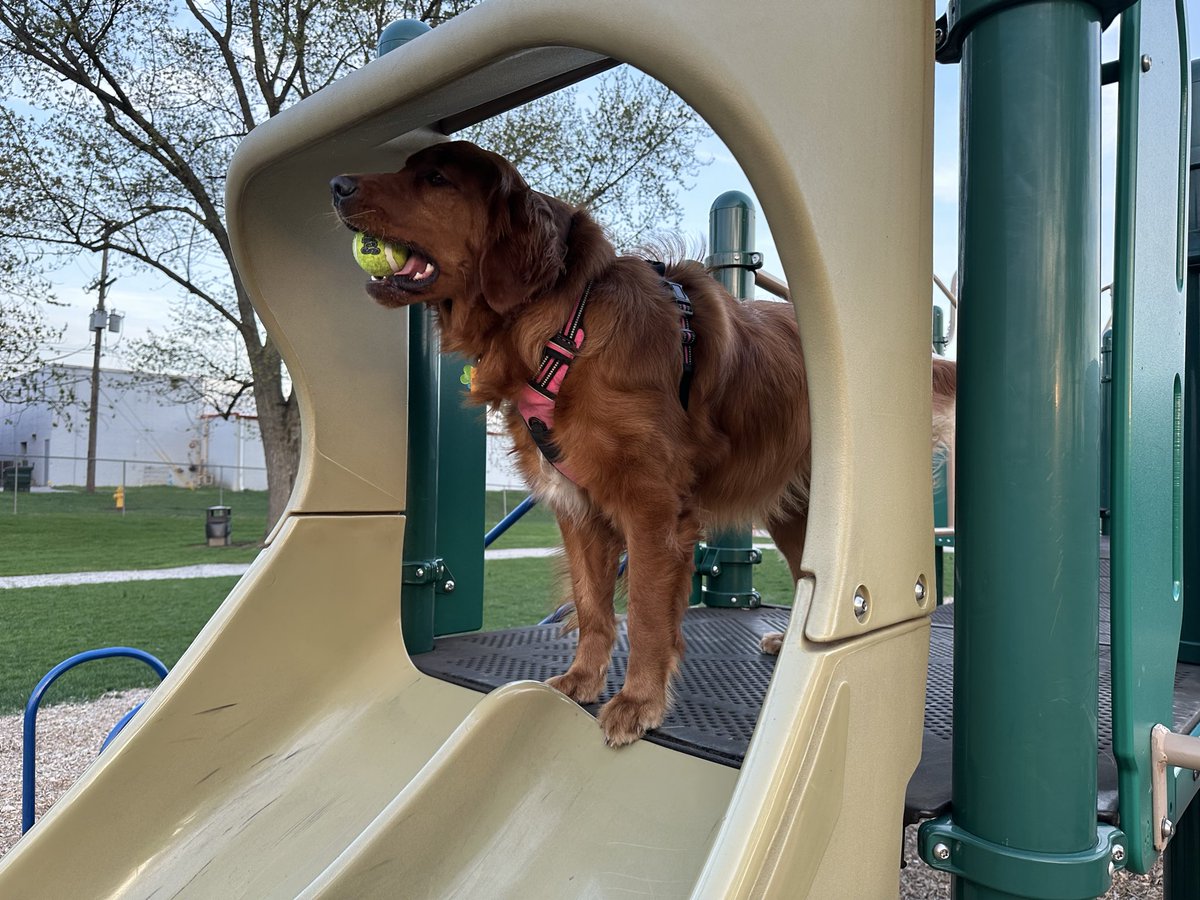 Vacuum Solo tweet media