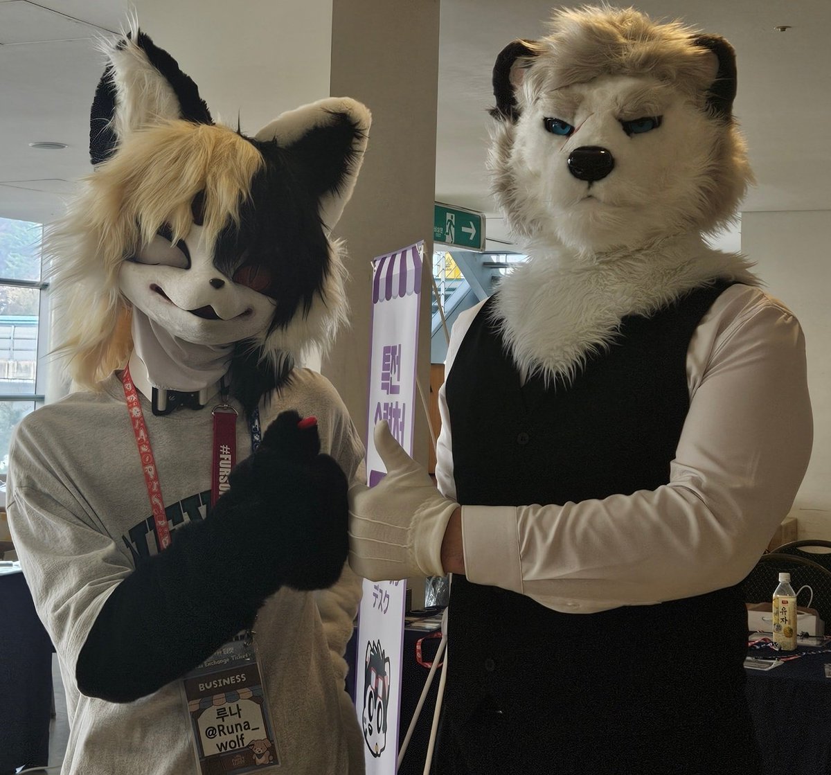 루나 🔜 퍼클 tweet media