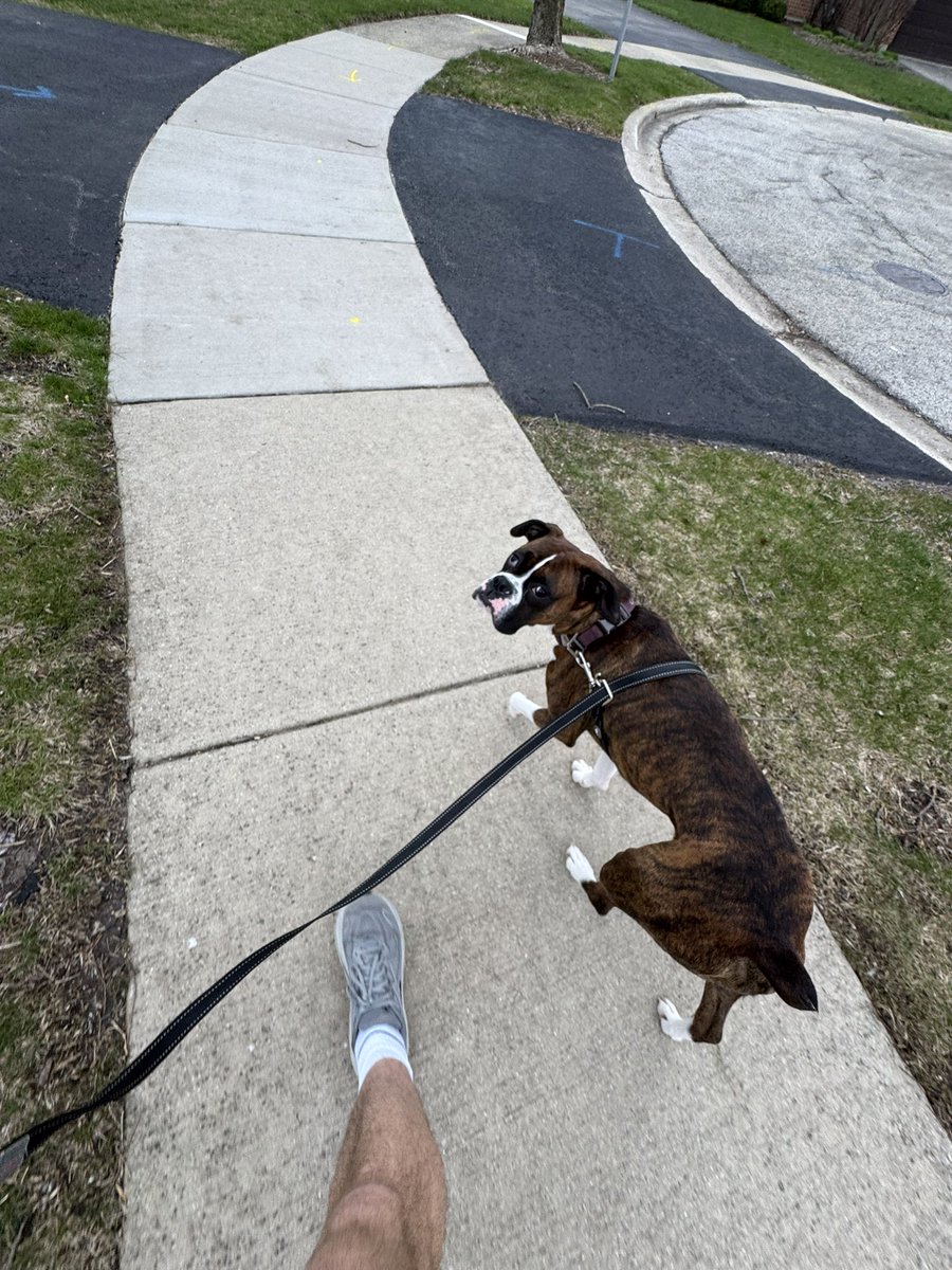 ColbyMBets's tweet image. The morning buddies are #BACK 🌞