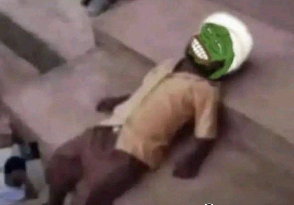 Papapros tweet media