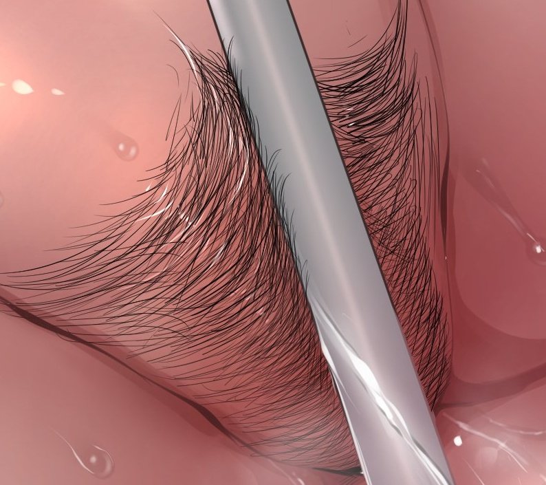 ℂ𝕒𝕤𝕥𝕝𝕖𝕧𝕒𝕟𝕚𝕒'𝕤 𝔹𝕠𝕪𝕥𝕠𝕪 tweet media