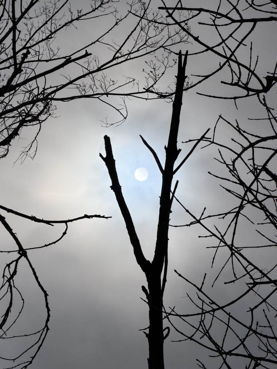 mo_teee's tweet photo. idk I just love a moody sun https://t.co/O4jsPA4Vo8