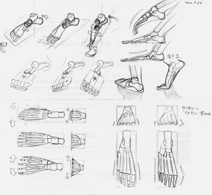 足の骨の
内反・外反(左上)、
開閉(右上、左下)、
それっぽい描き方(右下)
についてあれこれ考察 