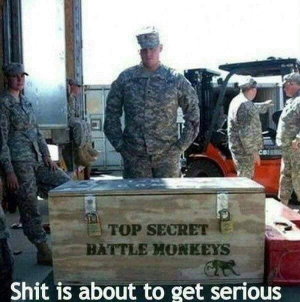 Sawfthausen tweet media