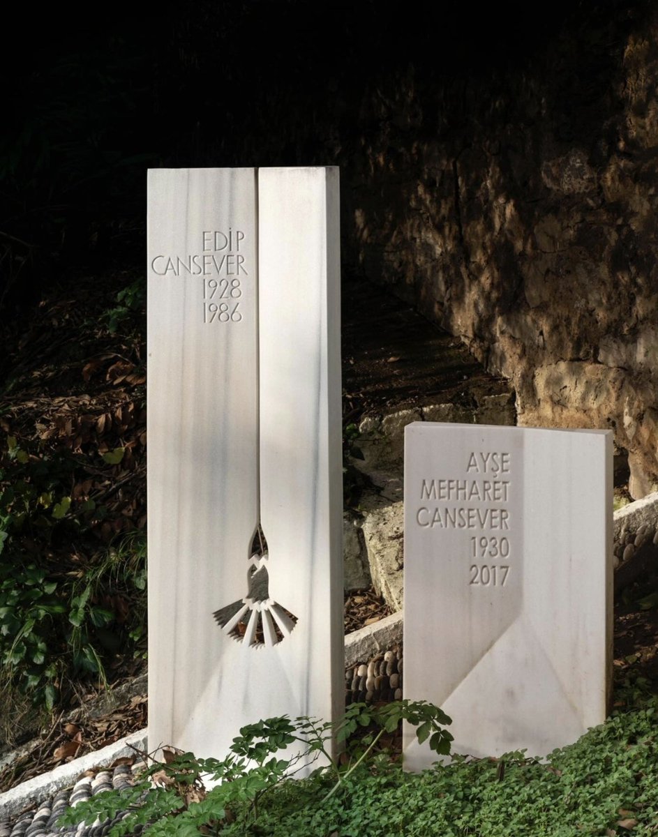 Sevcan G. tweet media