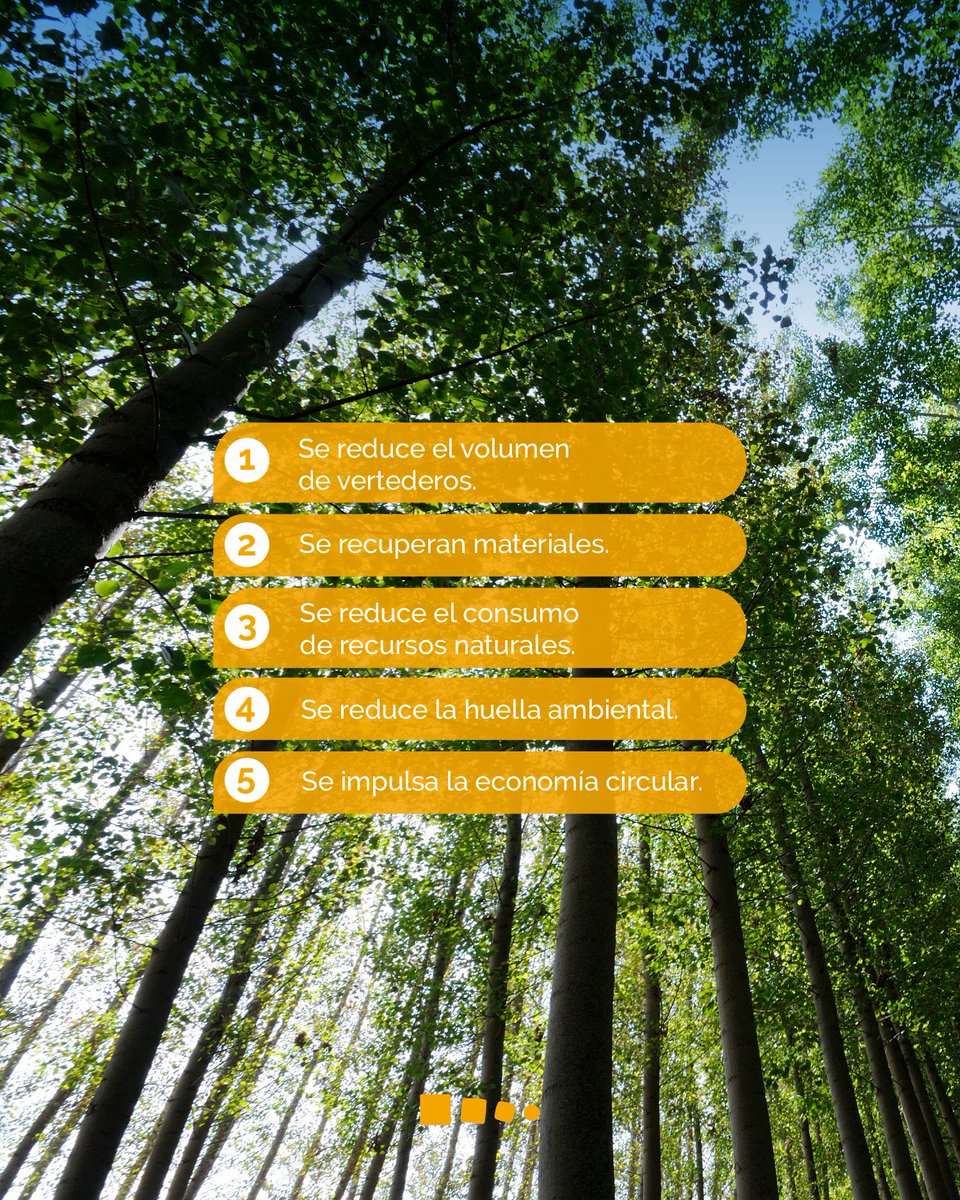 Mac Insular tweet media