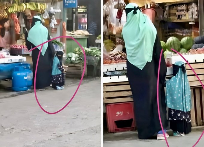 Daily Afganistan tweet media