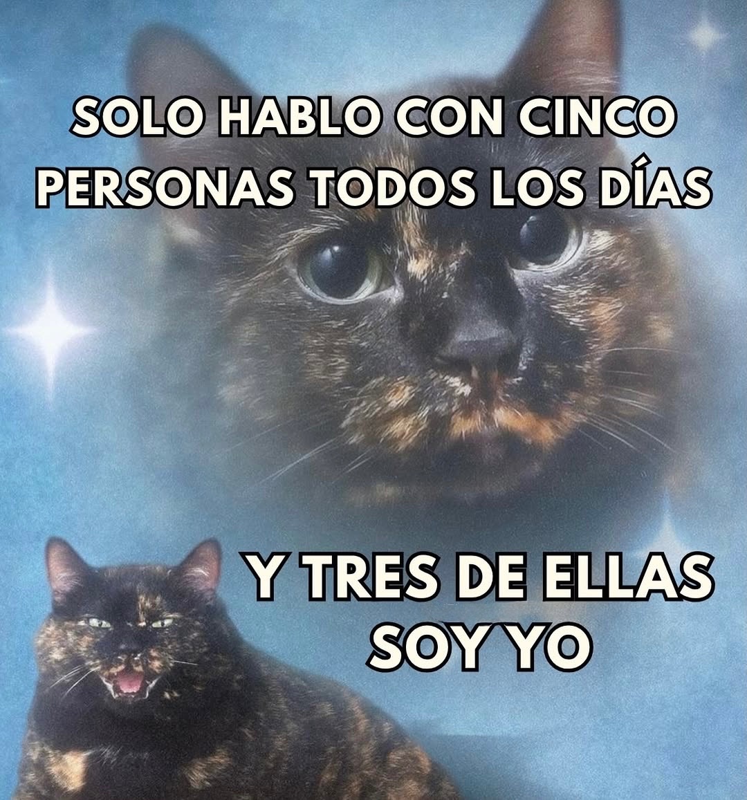 Mundo de Bigotes tweet media