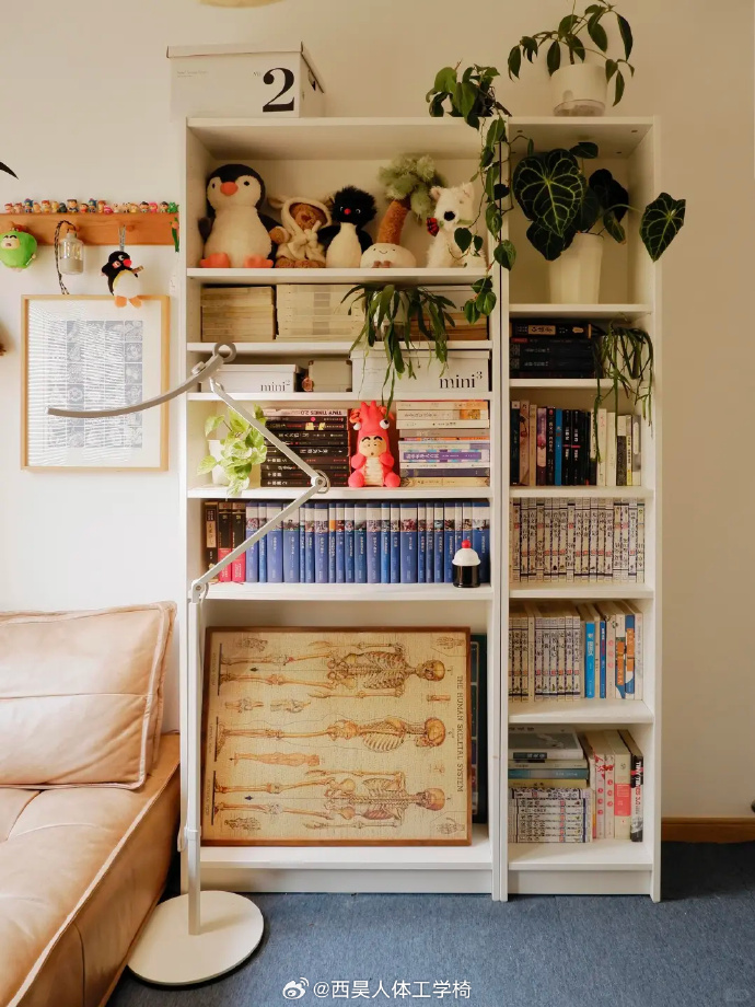 EllaChen tweet media