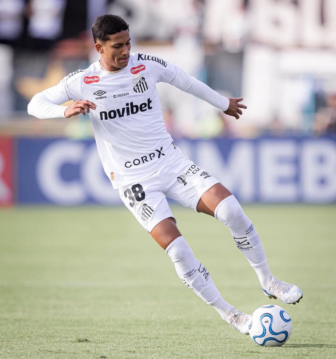 Olheiros tweet media