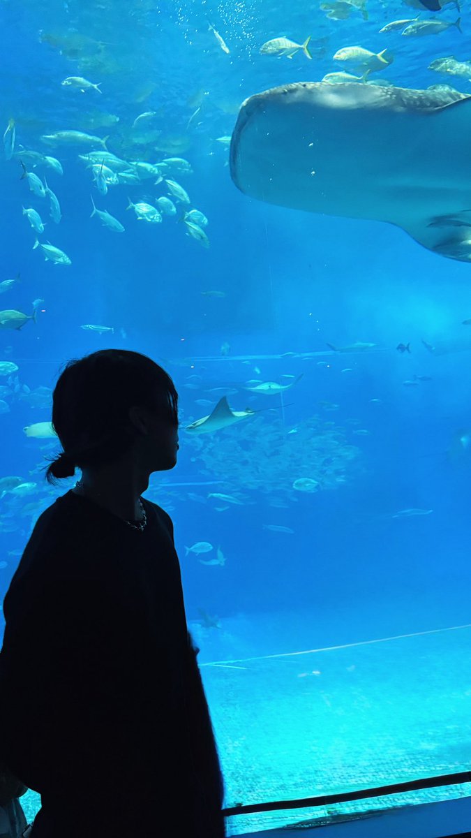 オオシロユイ tweet media