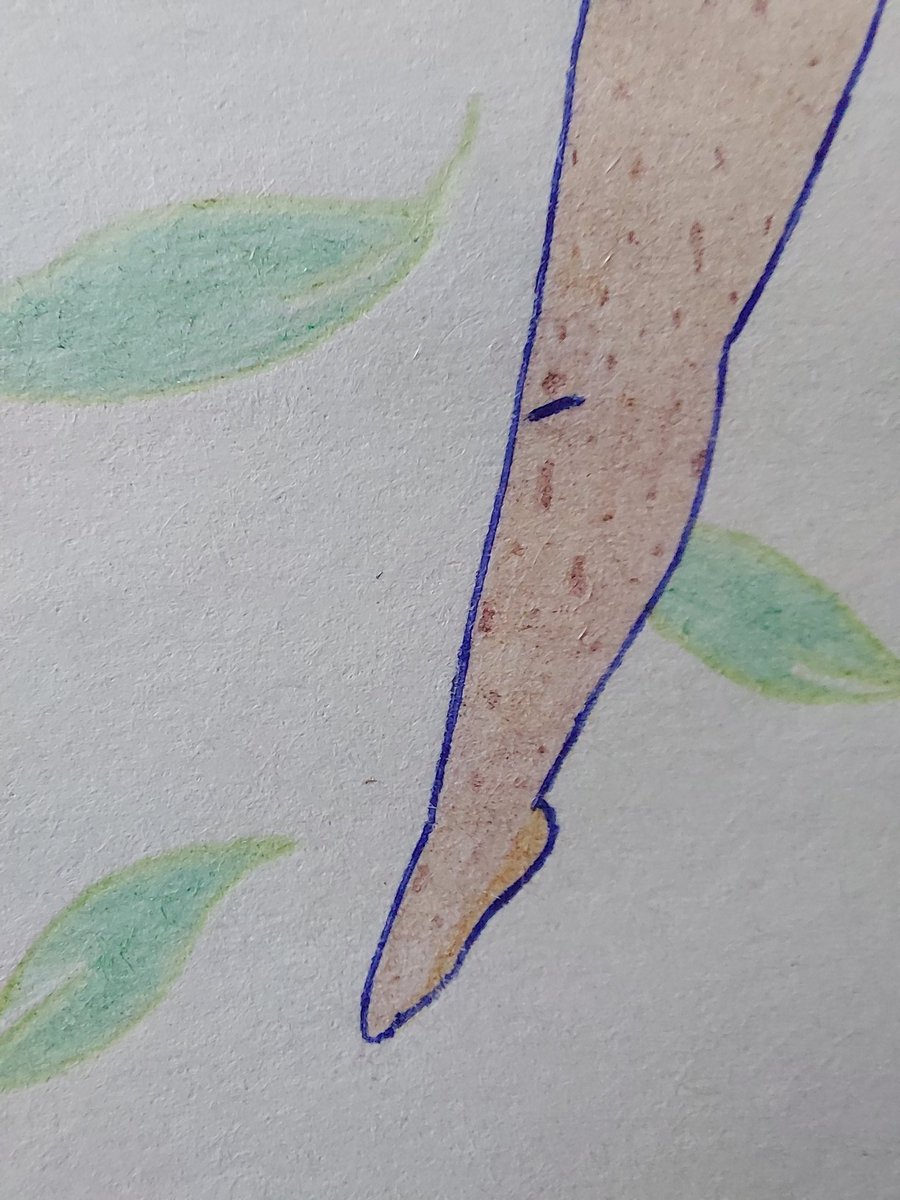 lvl3GlassFrog Art tweet media