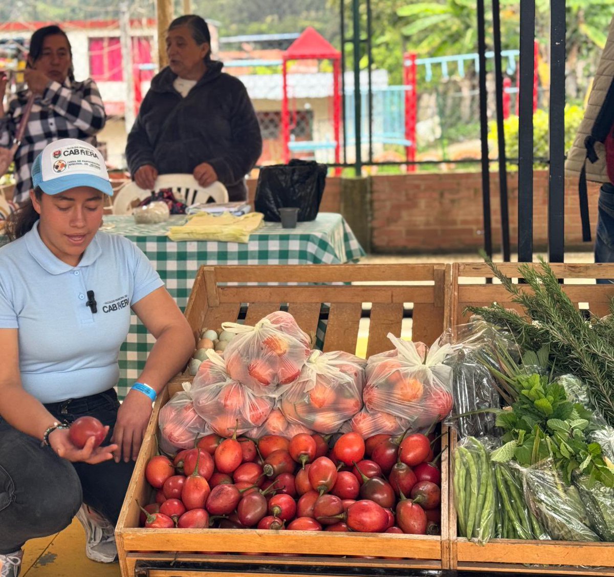 Instituto de Caminos y Construcciones de Cun/marca tweet media