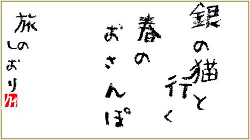銀の猫 tweet media