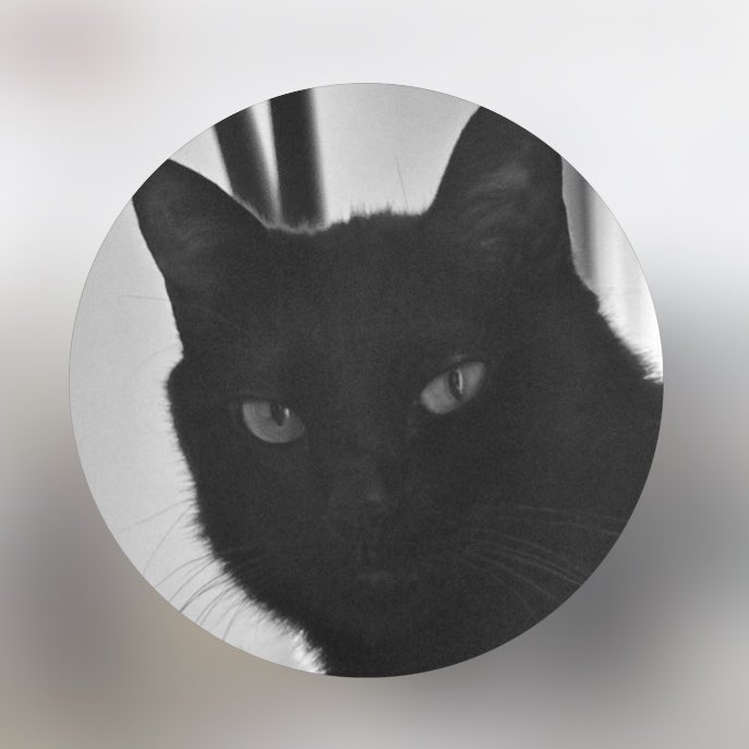 BTS Arg 🇦🇷 tweet media