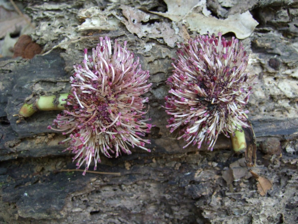 Tomoki SANDO tweet media