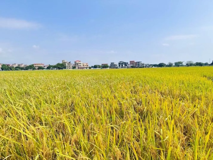 Jessica Udry tweet media