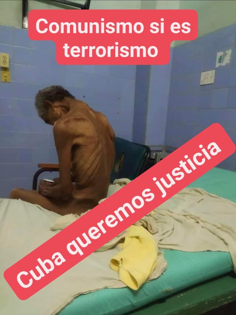 Rolo(the Cyber-Repre) tweet media