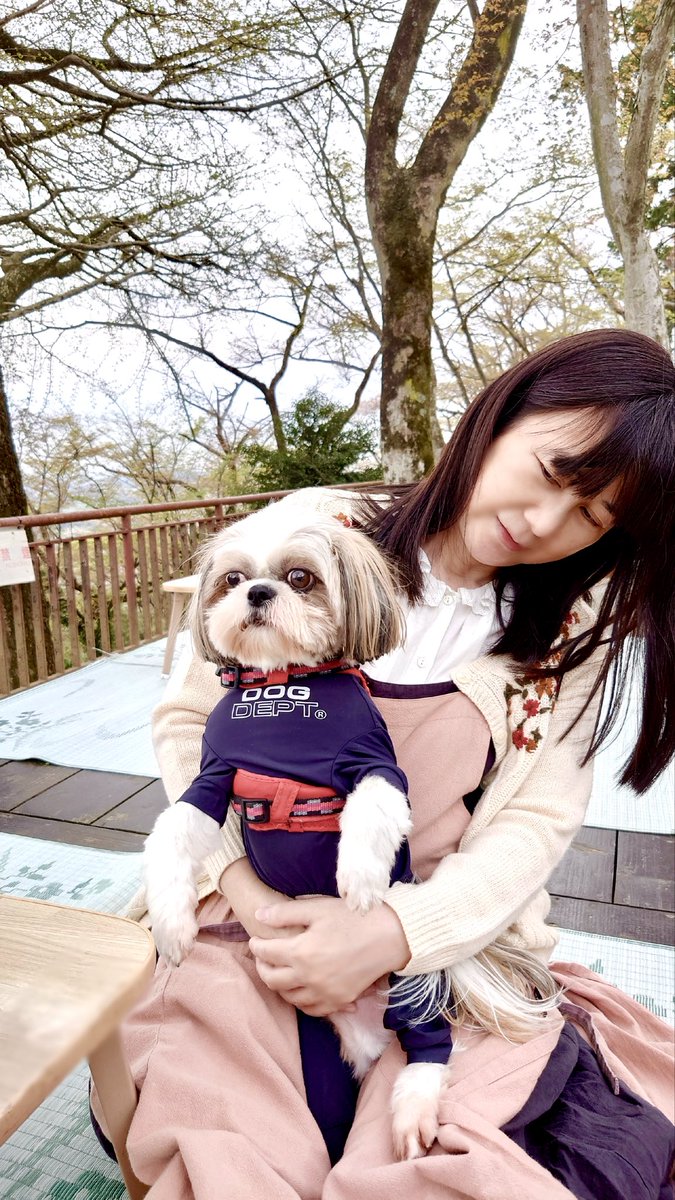 声優・古川登志夫（青二プロダクション） tweet media