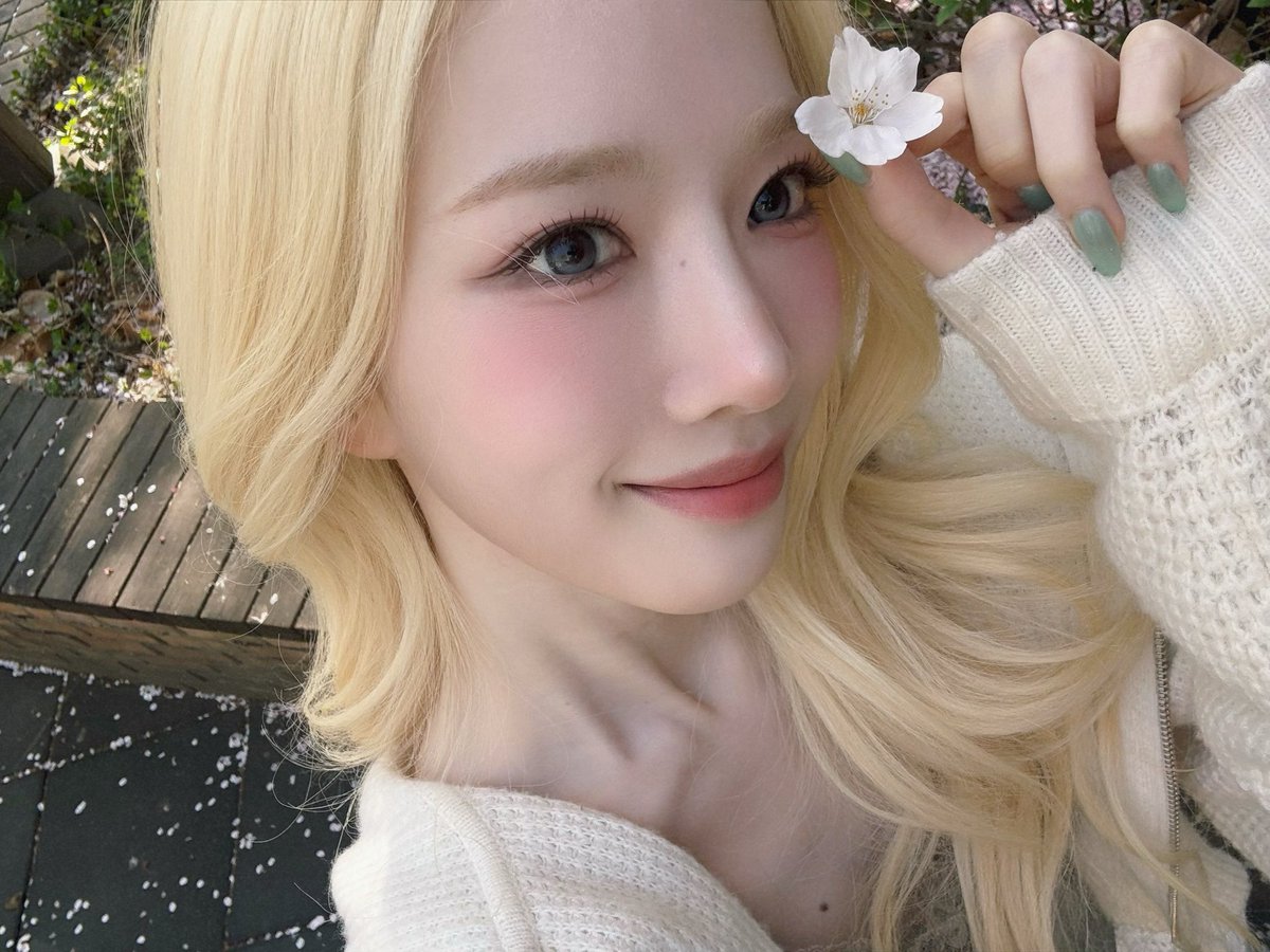 감튀🍟 tweet media