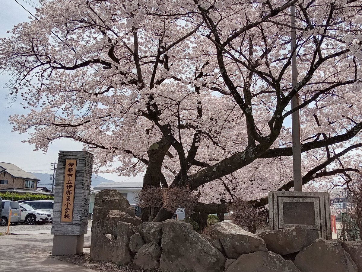 小池隆 tweet media