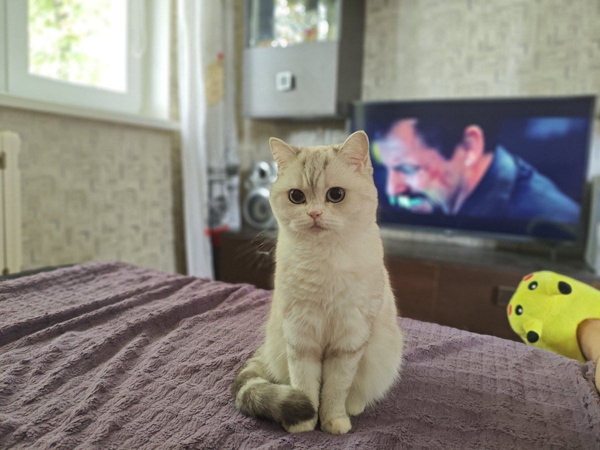 Теория жопных струнъ tweet media