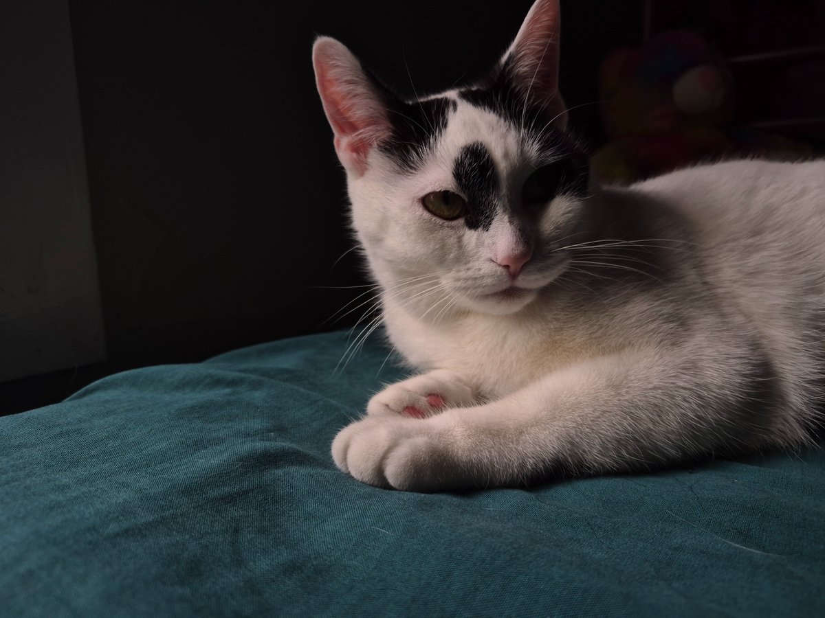 💚Ghosty :3🩵 tweet media