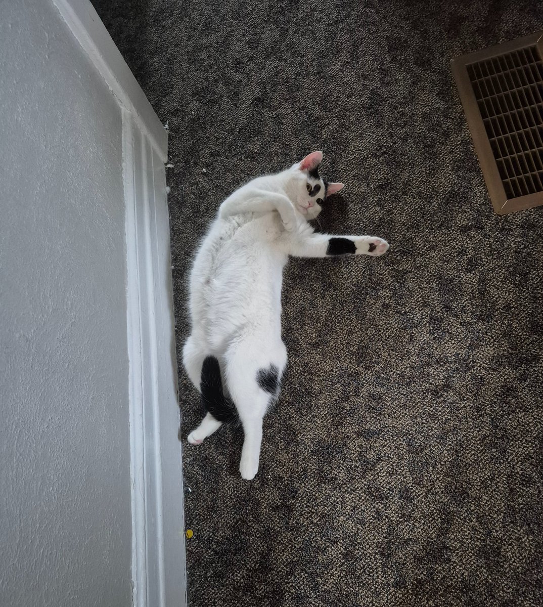 💚Ghosty :3🩵 tweet media