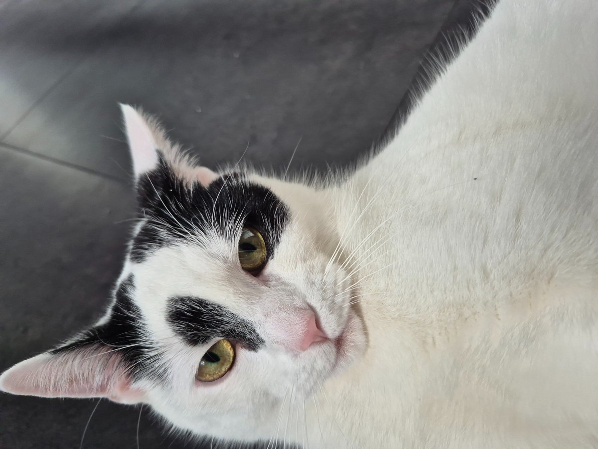 💚Ghosty :3🩵 tweet media