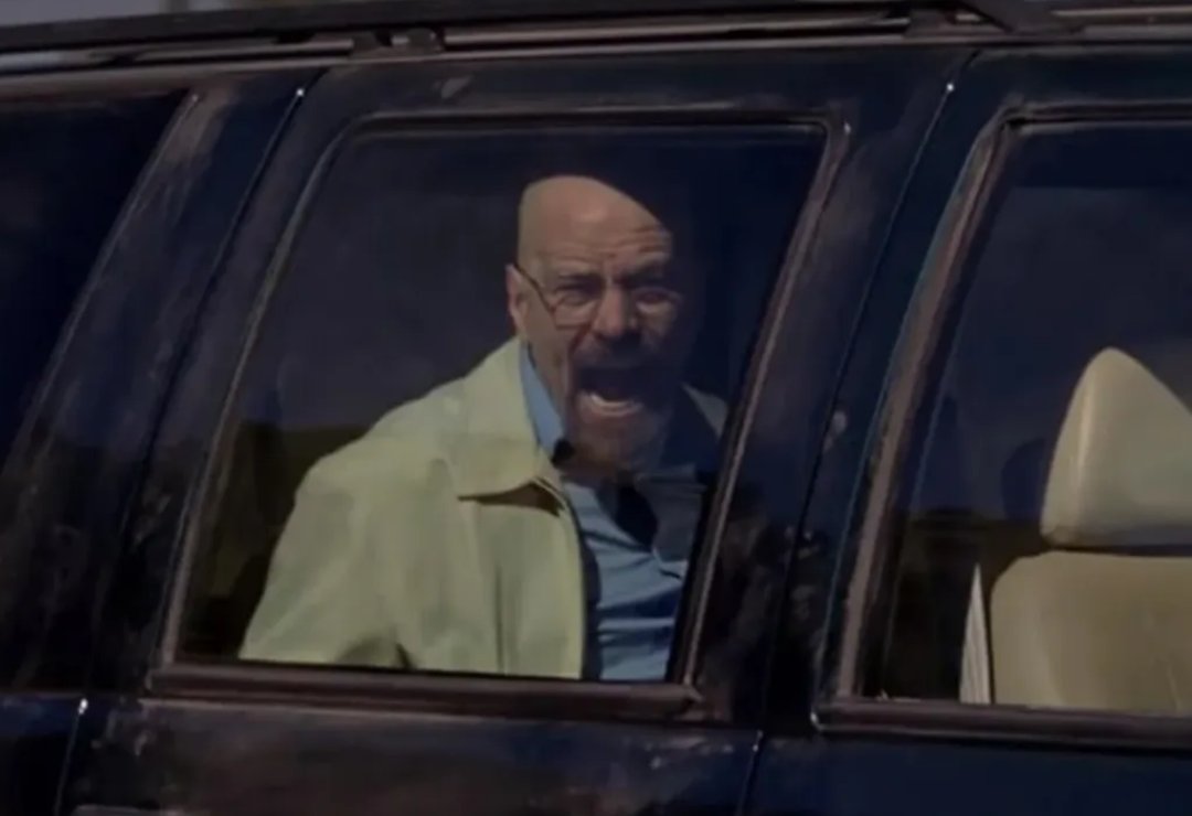 Alexis Cook tweet media