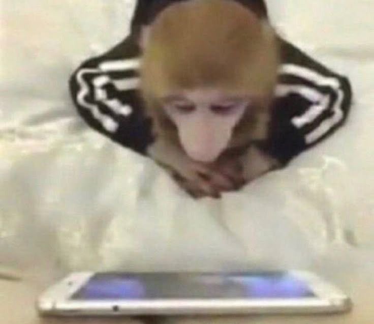 ayiᡣ𐭩 tweet media