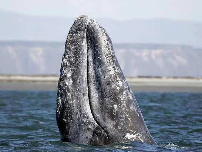 dama7944 tweet media