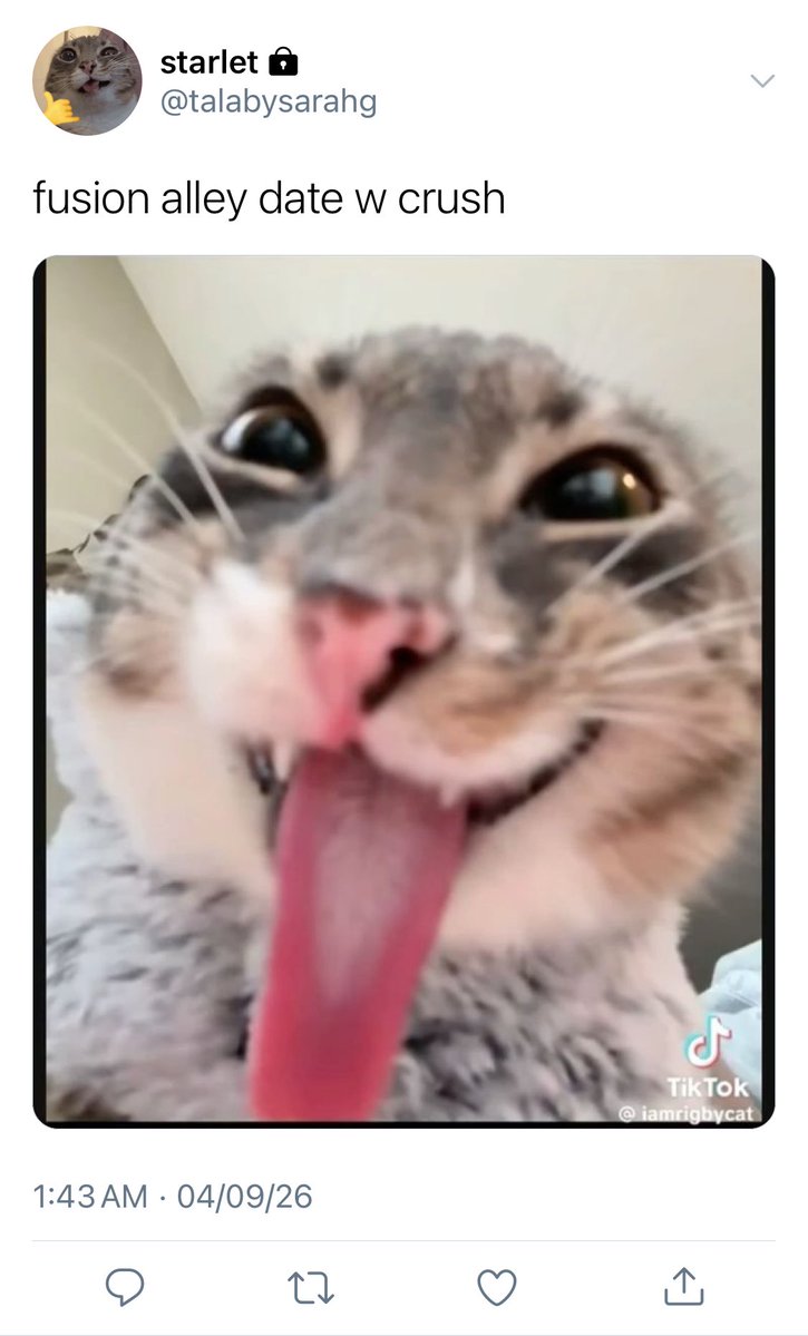 yan 🦕 tweet media