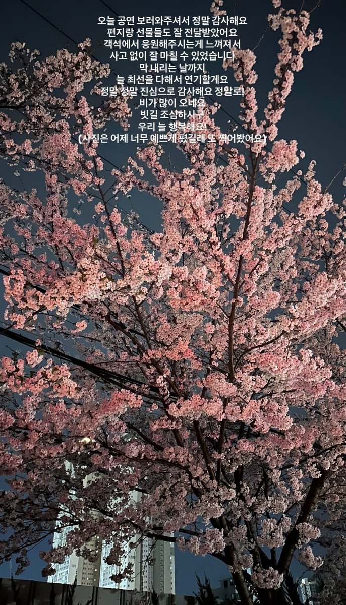 깅딛마 tweet media