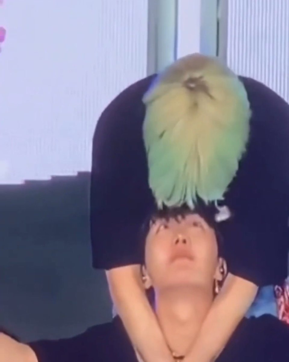 cassy⁷ :) tweet media