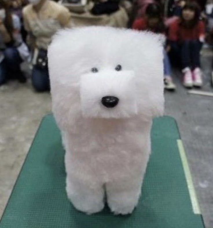 Jazz5690 tweet media