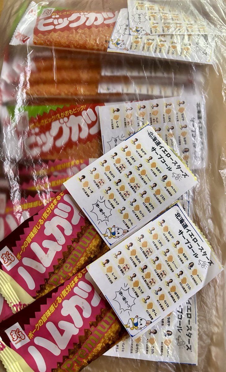 acerolarock's tweet photo. イエスタ絶対ビッグ勝ツ〜‼️⭐️🏐📣🎌
（写真撮る時くらい袋から出して👈🏻） https://t.co/0loSDBxQFd