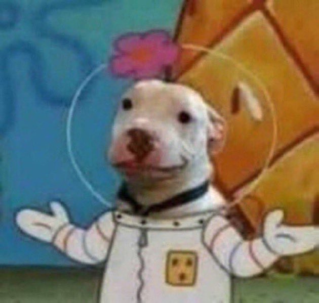got the coworkers mad by saying I liked phm movie more than the book and that weir's writing is overrated and that if he were a woman he'd be eaten alive for his basic ass writing style