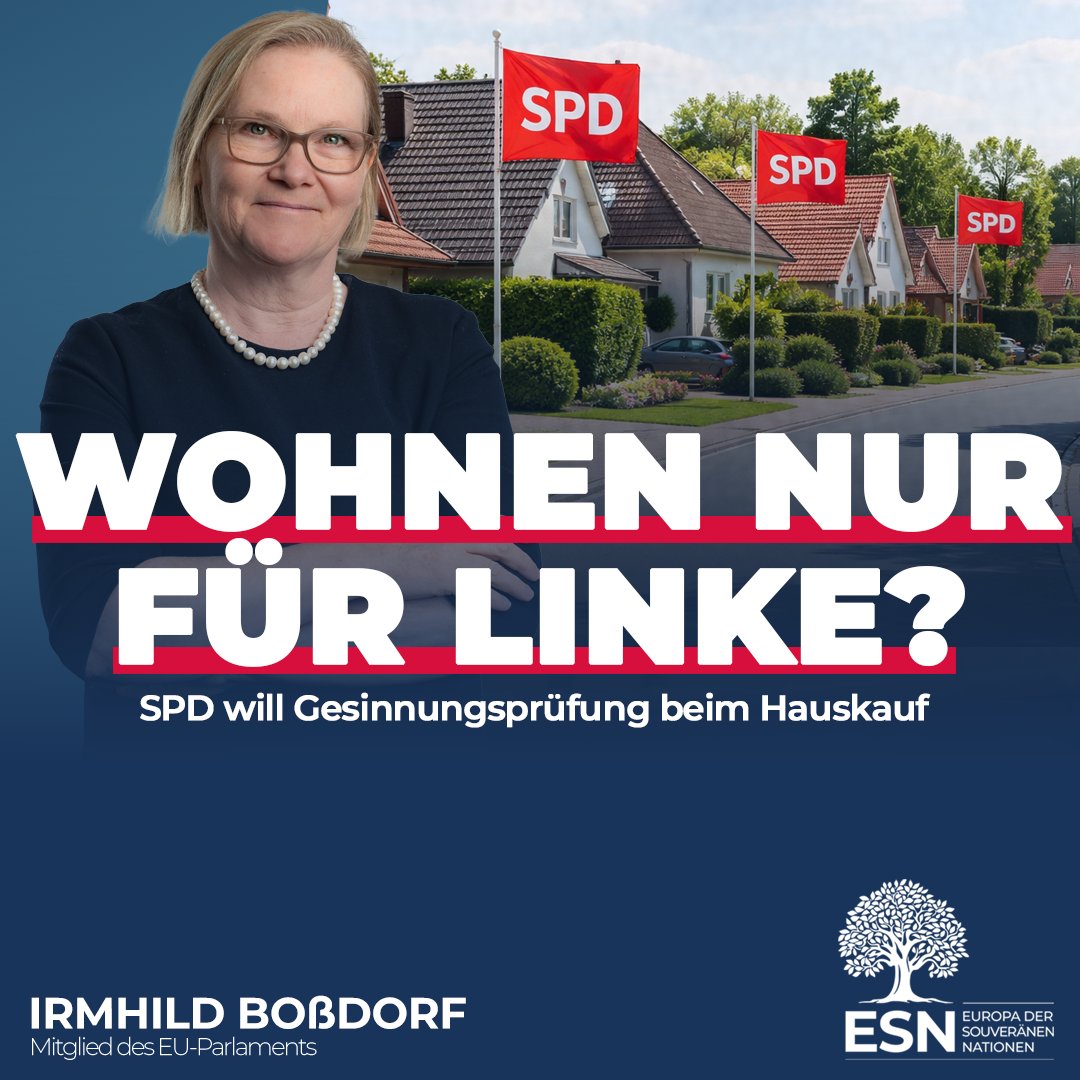 AfD im EU-Parlament tweet media