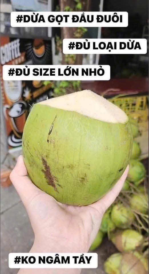 Bảo bò 18Cm tweet media