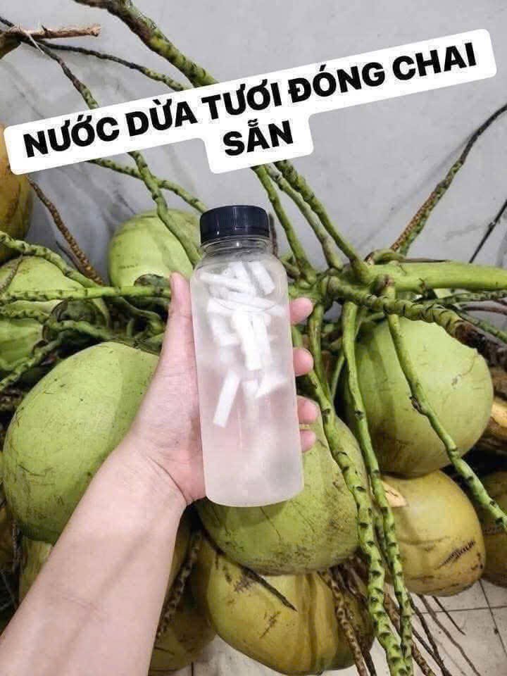 Bảo bò 18Cm tweet media