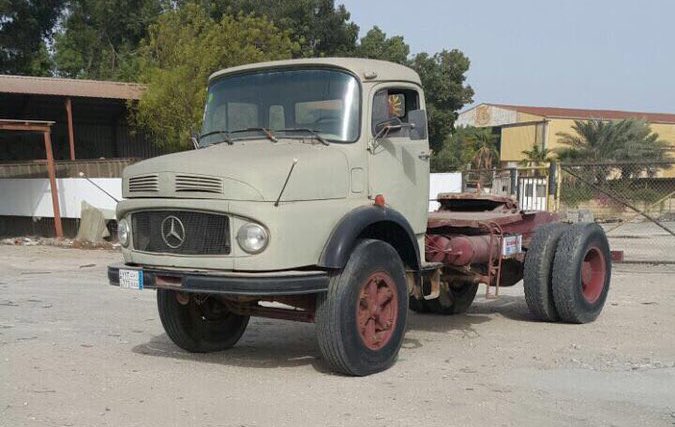 Mr.Wolf 🐺🎋 tweet media