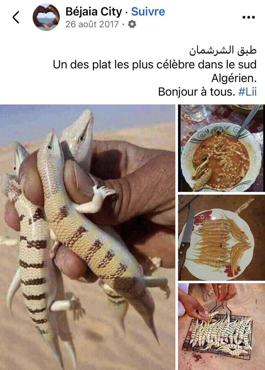 السبع Sbâa tweet media