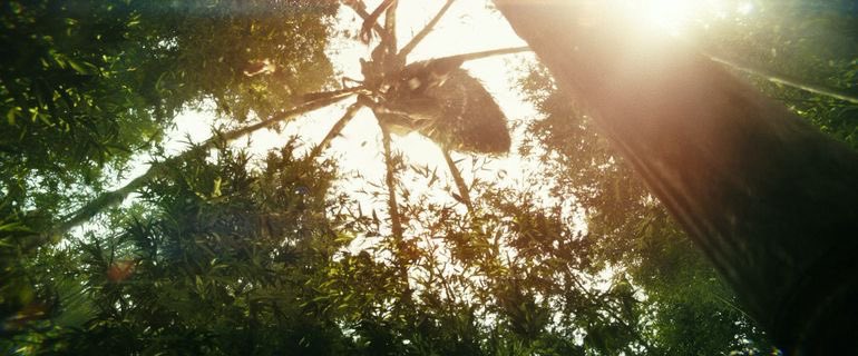 Cinema Joy tweet media