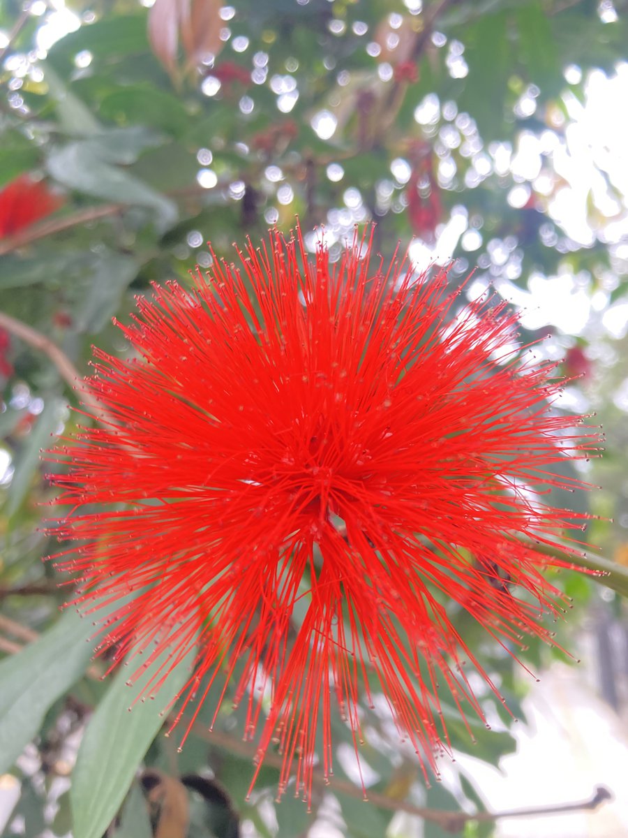 AdRi ♡ tweet media