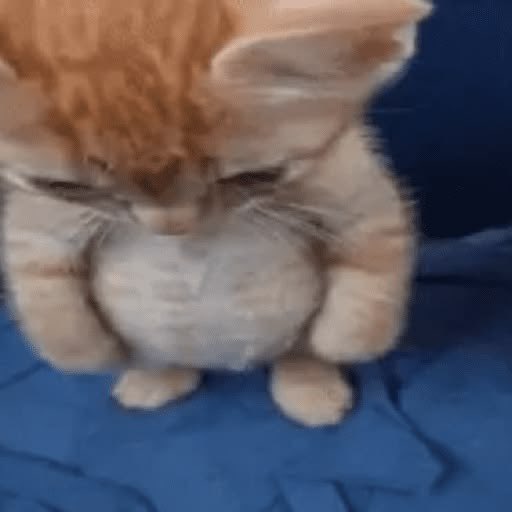 tata TEM QUE VER O BTS tweet media