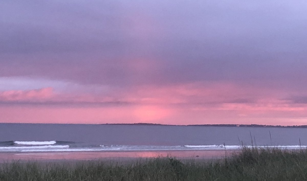 𝒞𝒽𝒶𝓃𝓉𝑒𝓁 tweet media